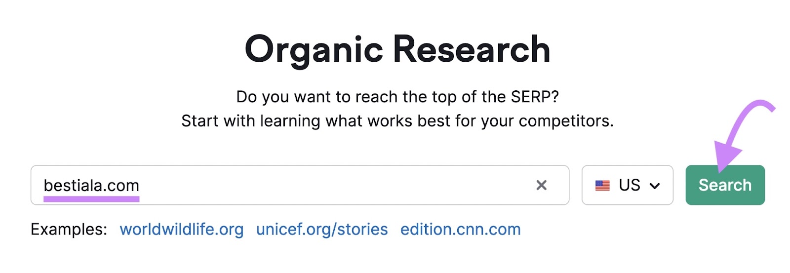 "bestiala.com" domain entered into the Organic Research tool search bar
