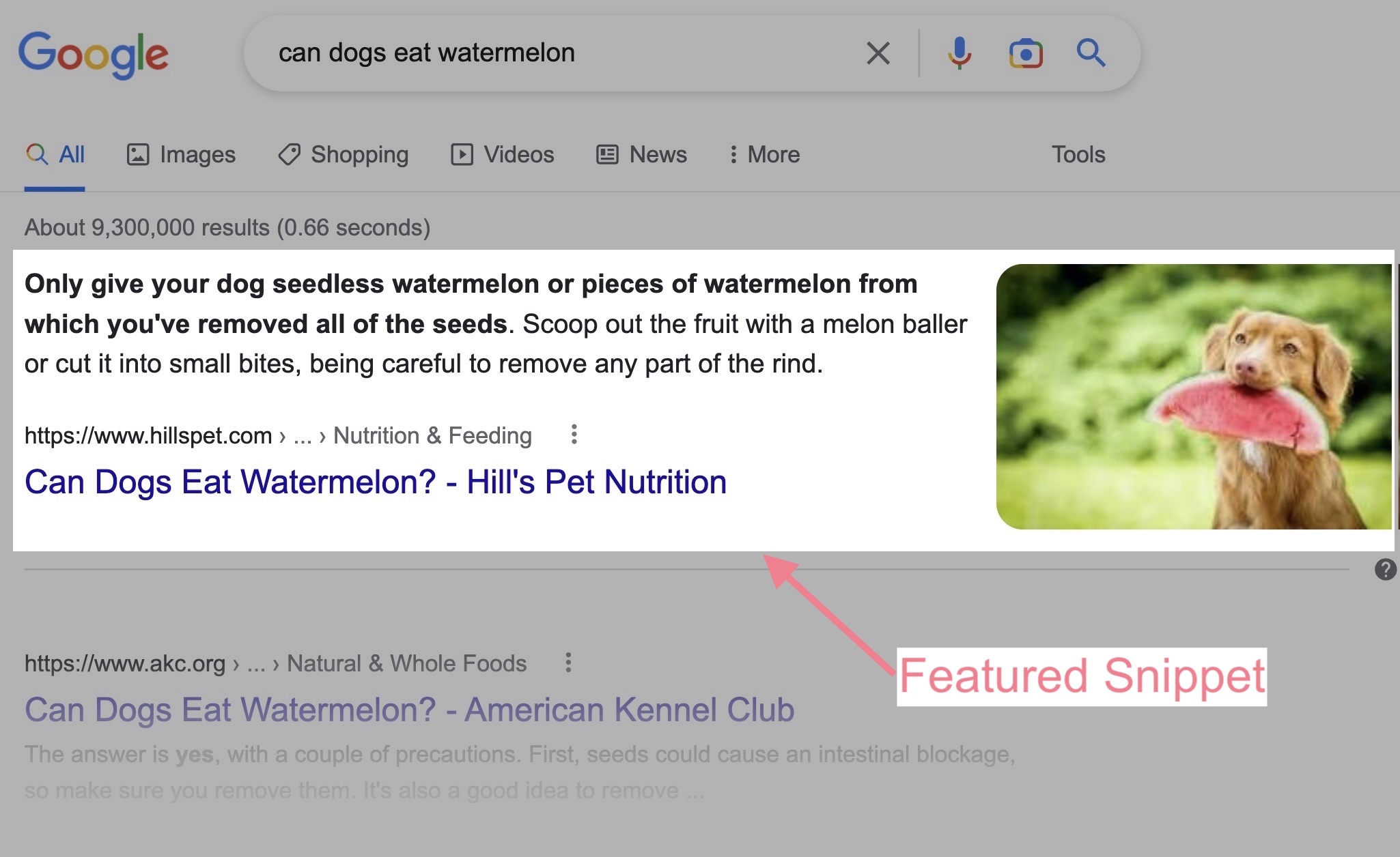 view serp featured snippet