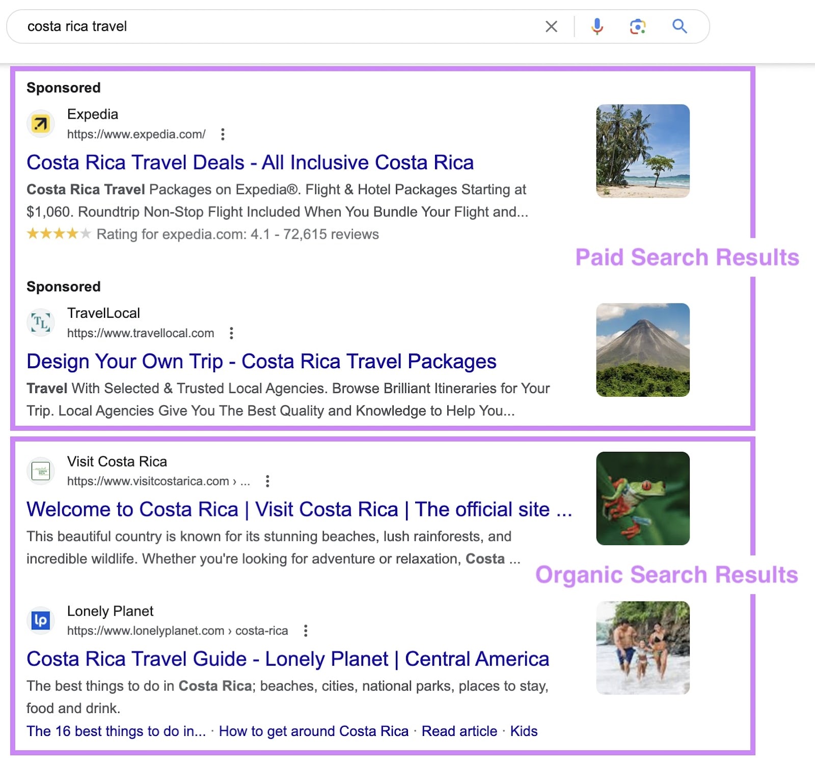 Google SERP with paid and organic search results