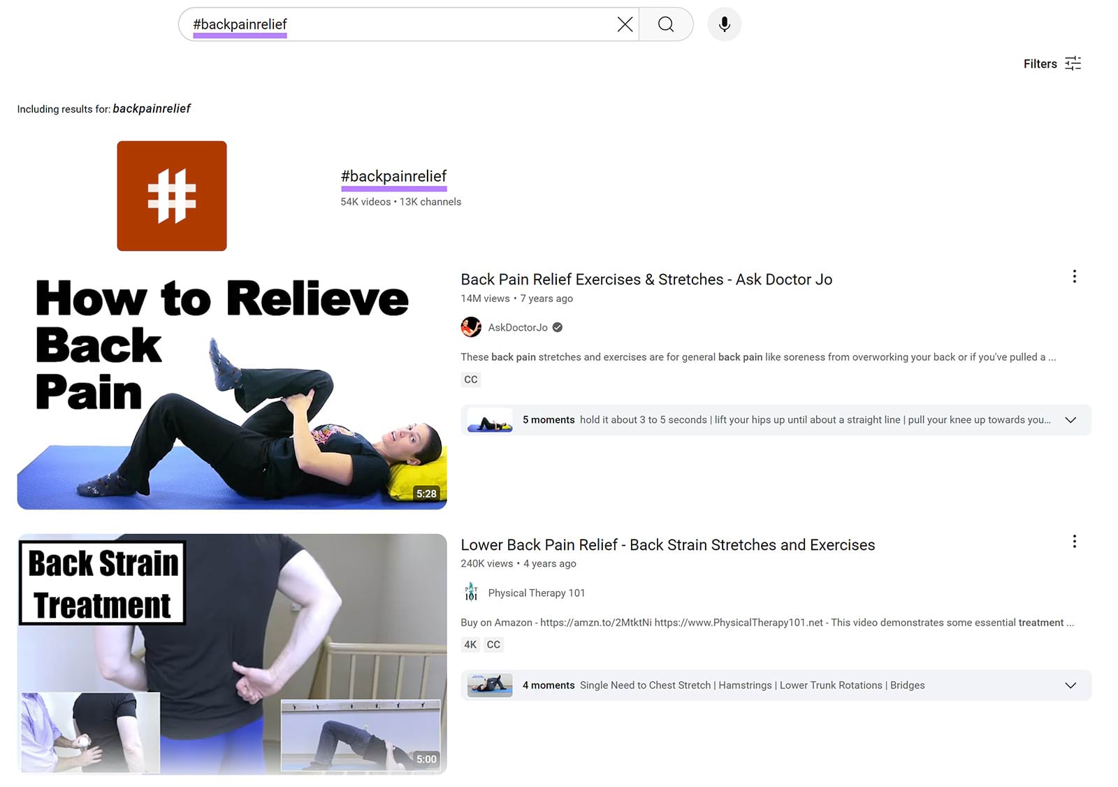 YouTube search results for '#backpainrelief'.