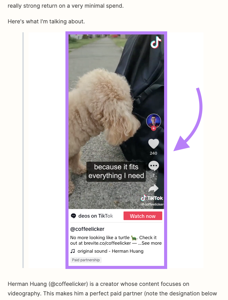 A screenshot of TikTok video from Zapier's article