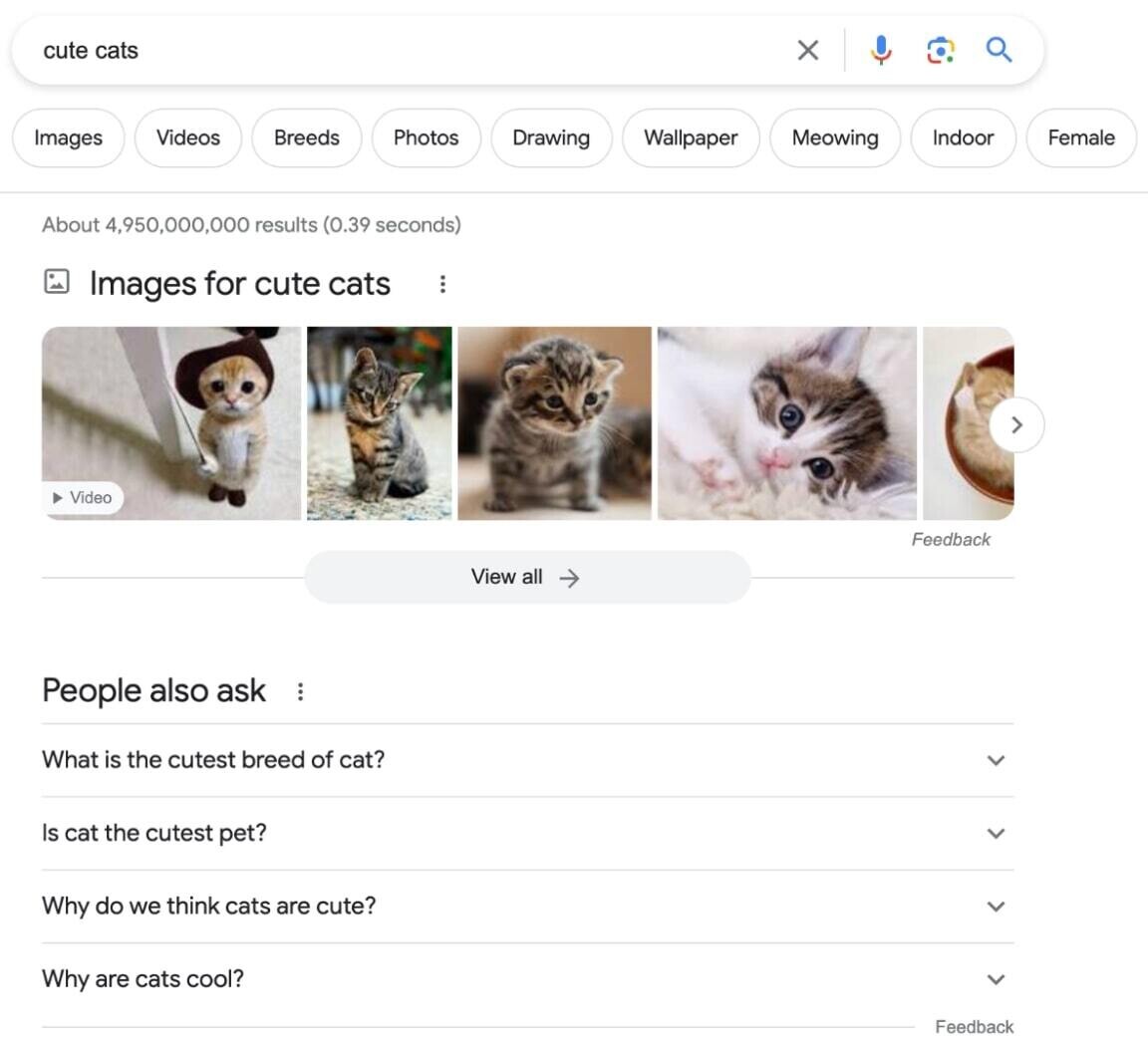 Google SERP for "cute cats" search