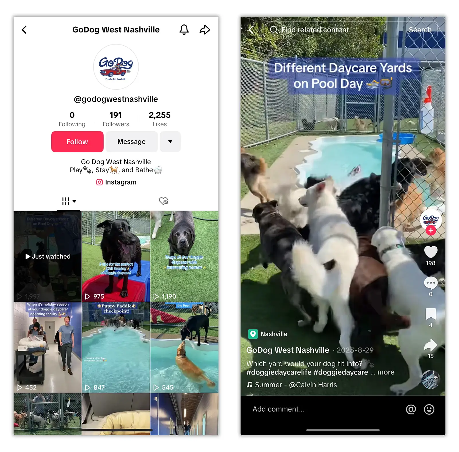 GoDog West Nashville TikTok profile and a video about dog daycare yards displayed side by side