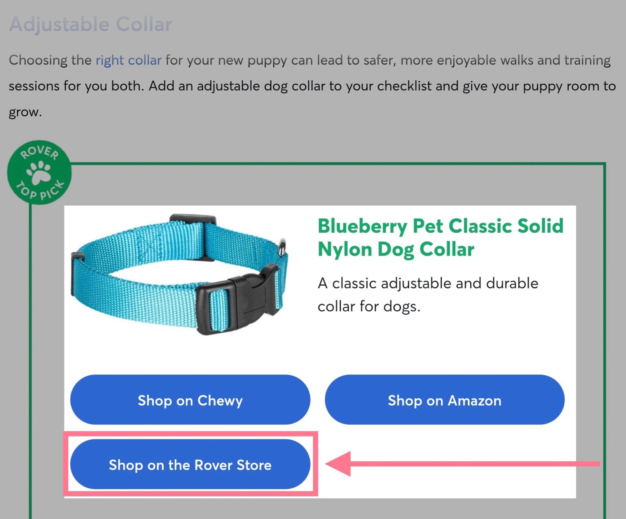 Rover promotes their product, a dog collar, within their blog post
