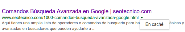 Imagen de la versión cacheada de una URL en Google