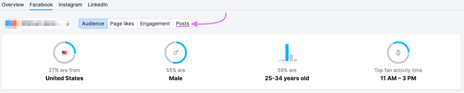 example of audience metrics for Facebook posts including location, ***, age and top activity time