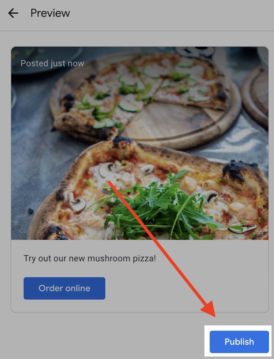 Guia Definitivo do Google Meu Negócio 45 botão de publicar