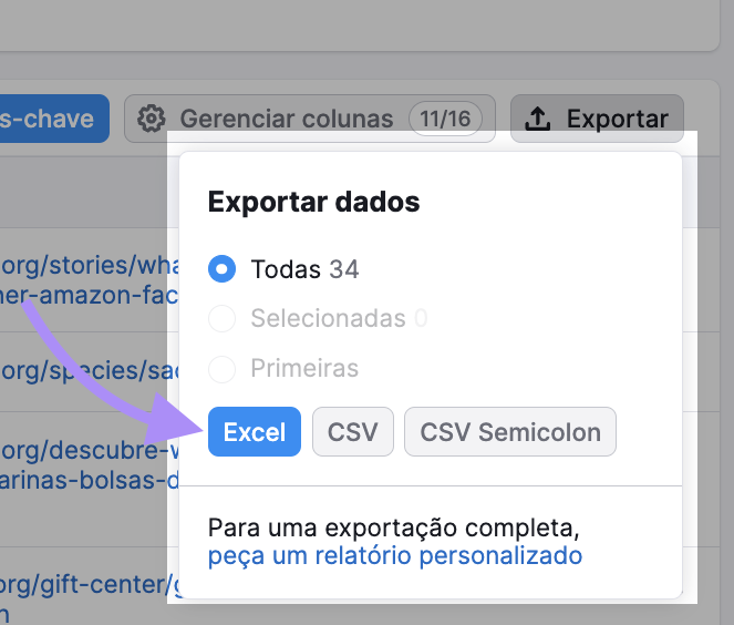 Botão "Exportar" que oferece as opções "Excel", "CVS" e "Ponto e vírgula CVS".