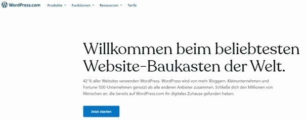 Website Wordpress