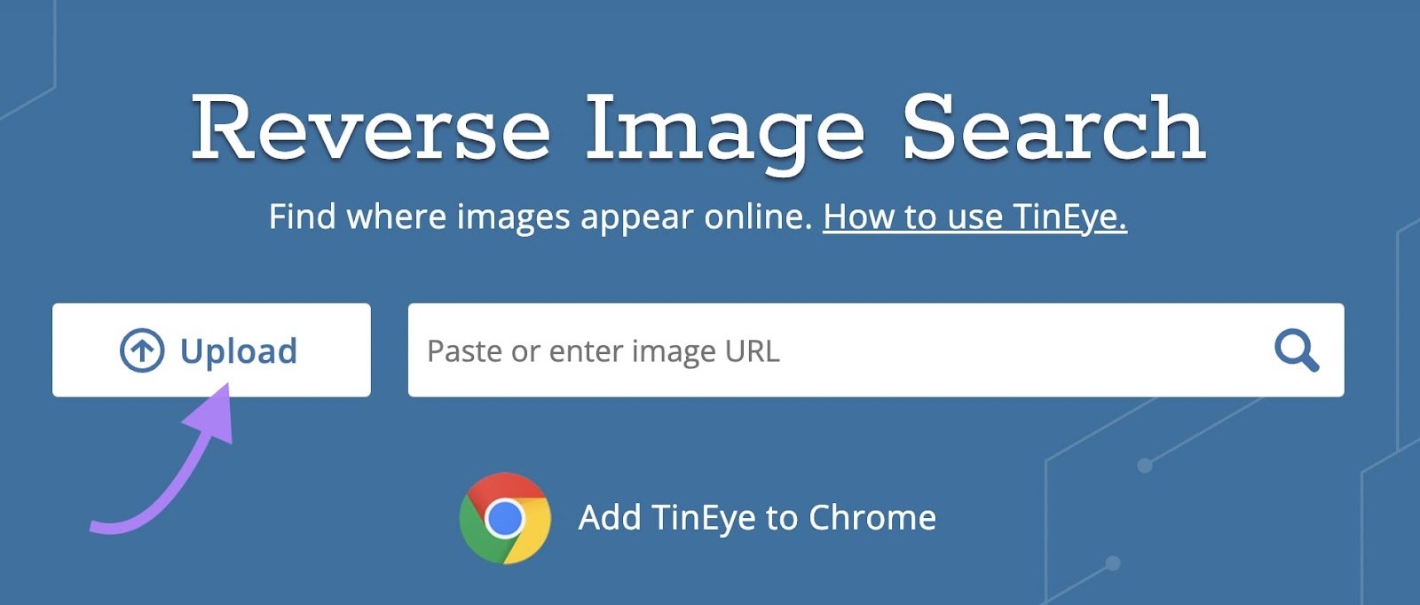 Tineye reverse image search with upload button highlighted