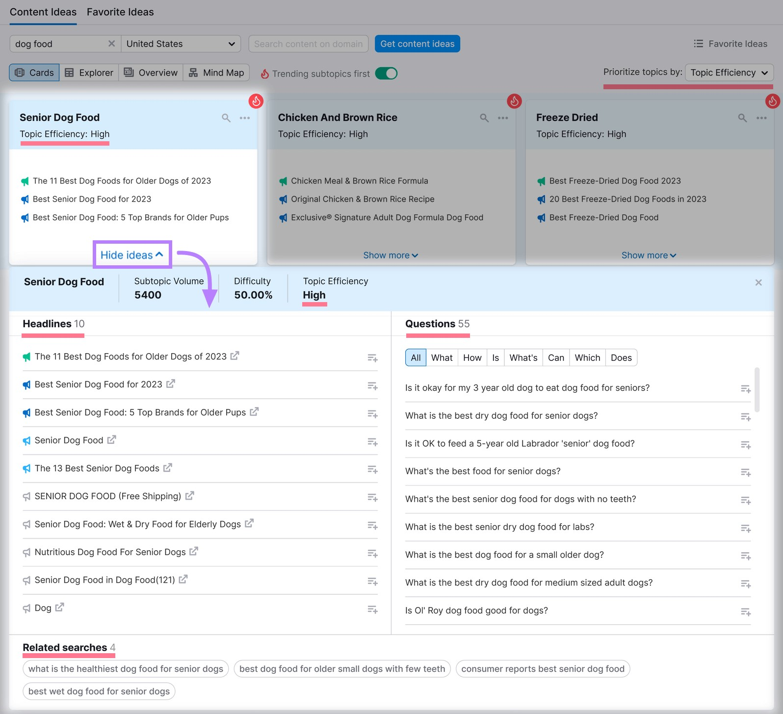 headlines, questions, and related searches section in Topic Research tool