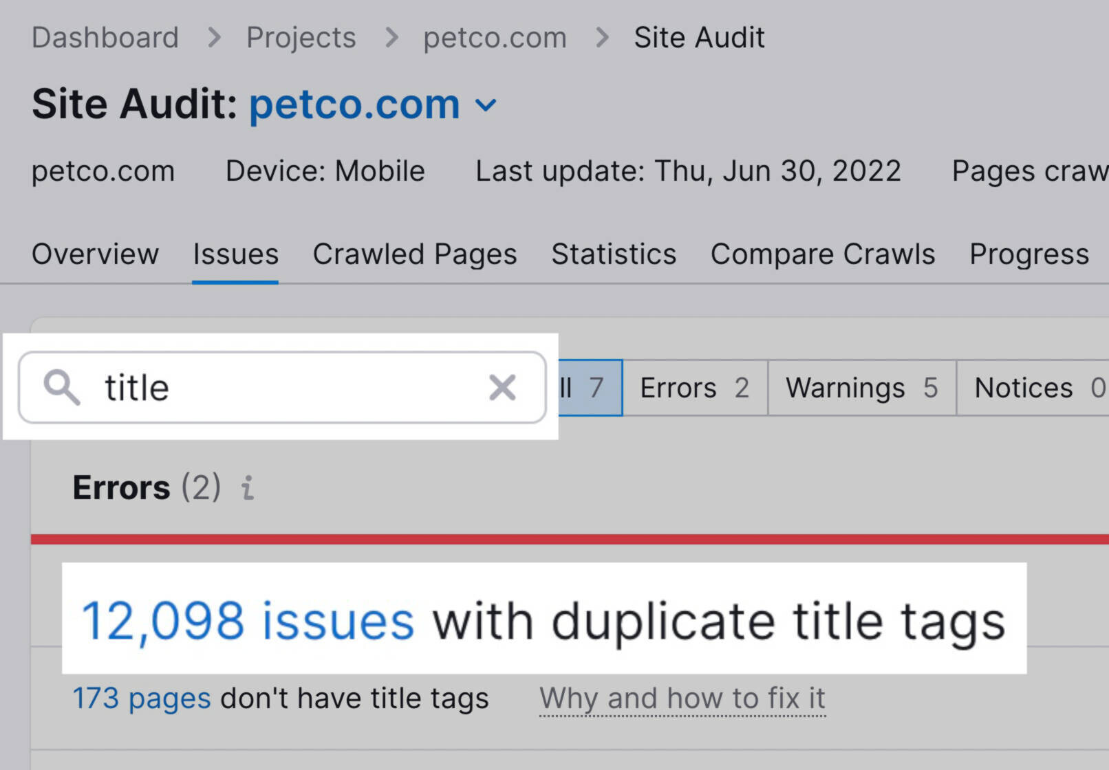duplicate title tag error in Site Audit