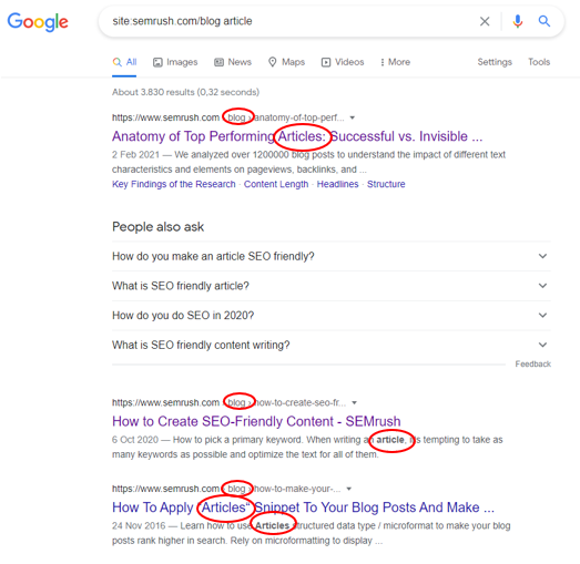 site search on google example