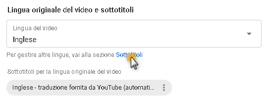 Sottotitoli video canale youtube