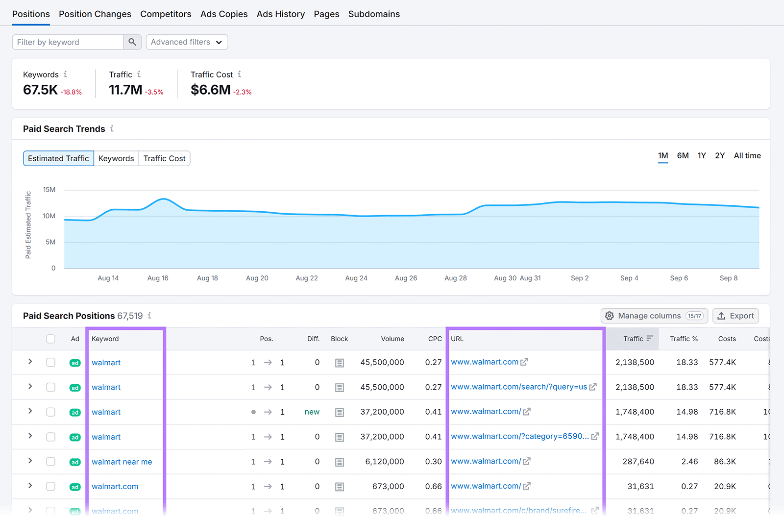 Position tab with Keyword and URL columns highlighted successful  Paid Search Positions table