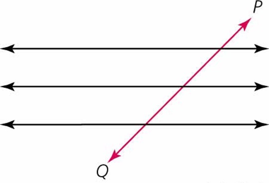 ¿Qué es la transversalidad?