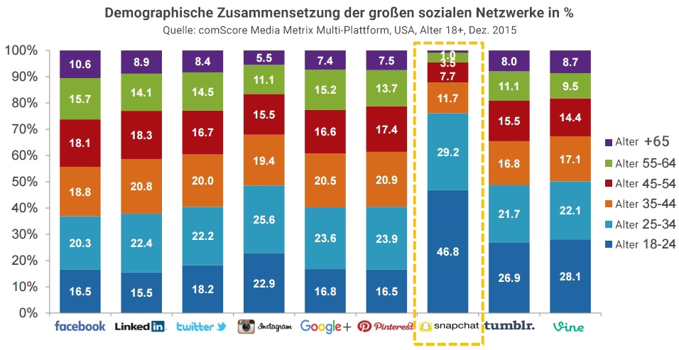 Demographic composition of major social networks