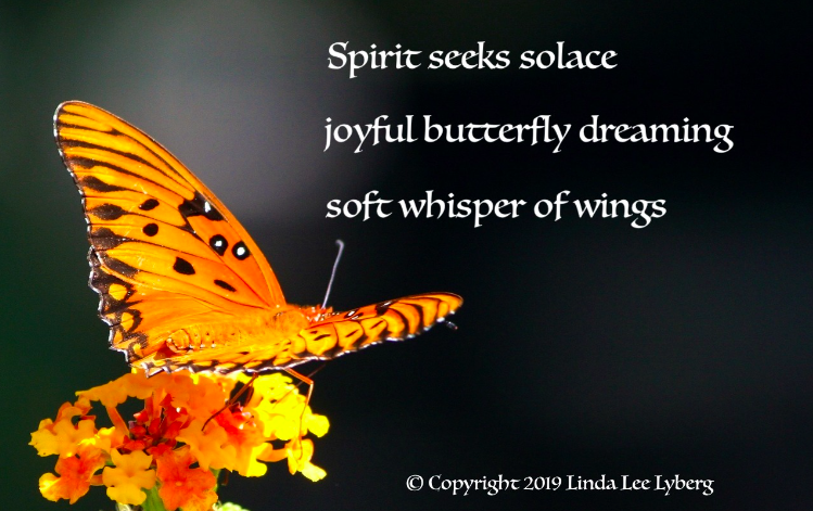 A screenshot of a haiku astir  a butterfly copyrighted successful  2019.