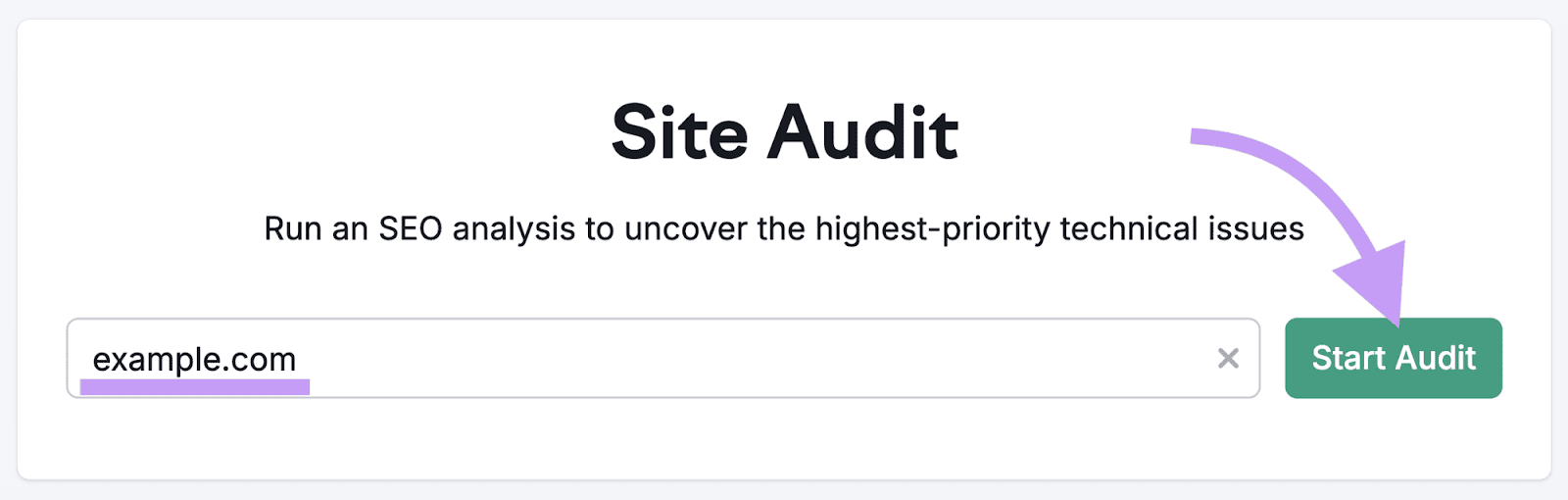 Site Audit's search function