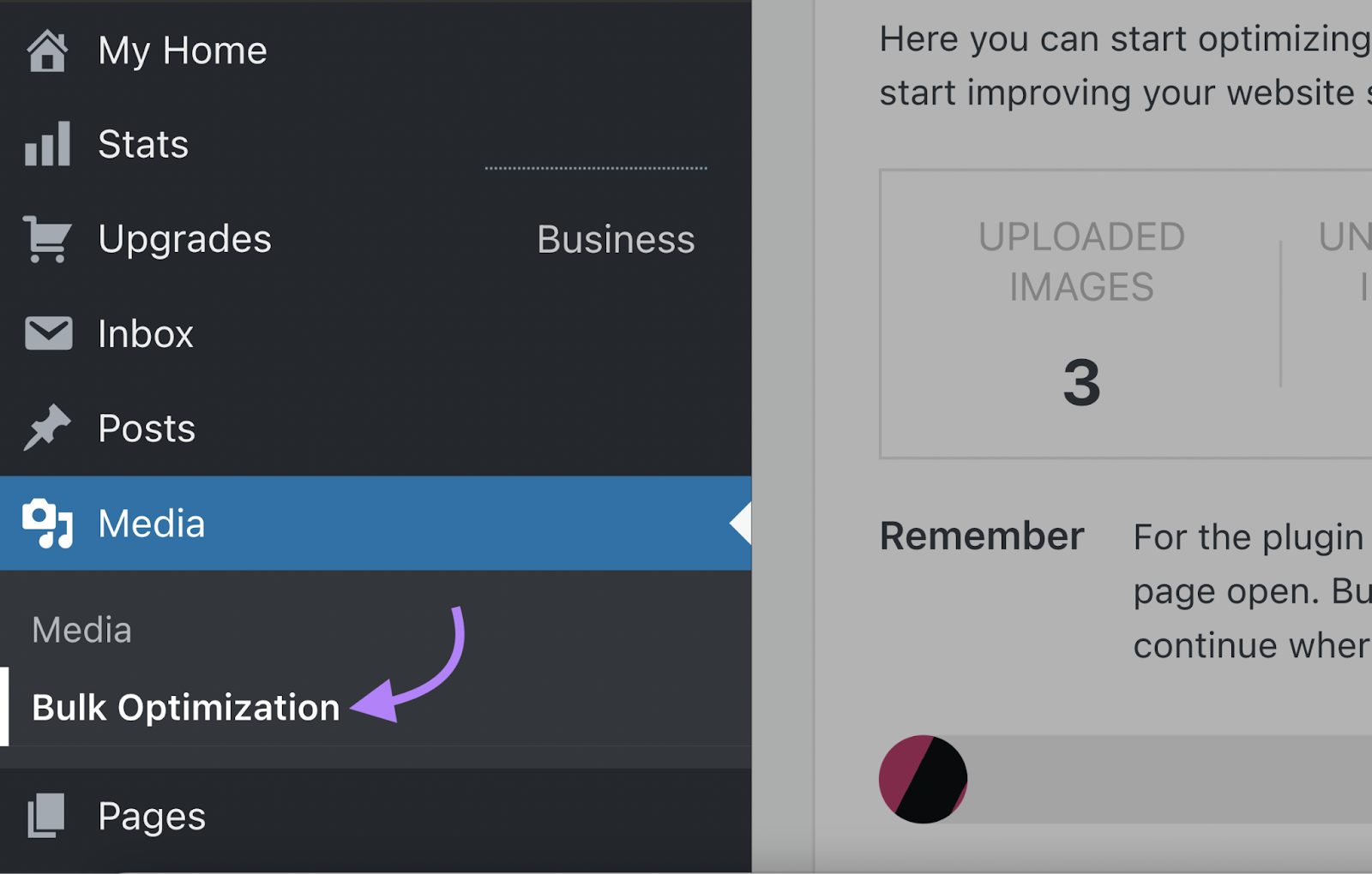 “Bulk Optimization” option shown in WordPress menu