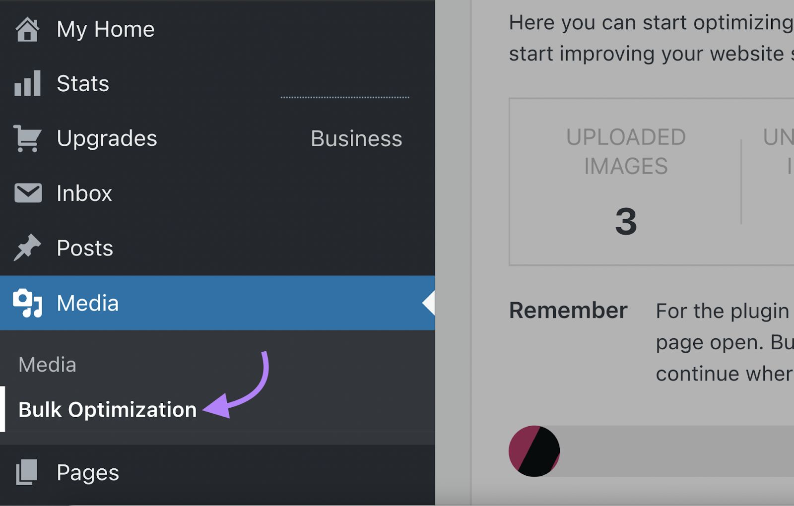 “Bulk Optimization” option s،wn in WordPress menu