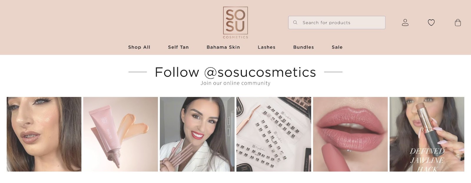 cosmetics company with user generated content for instagram such as products and using products