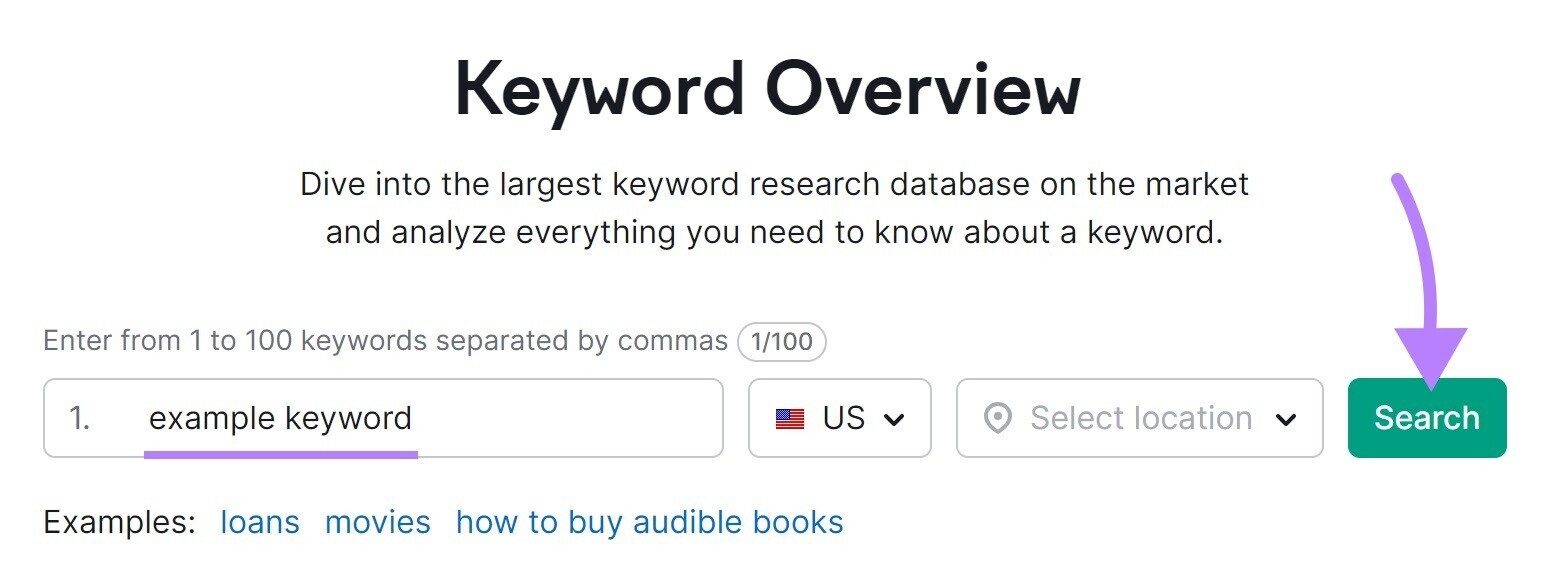 Keyword Overview tool search bar