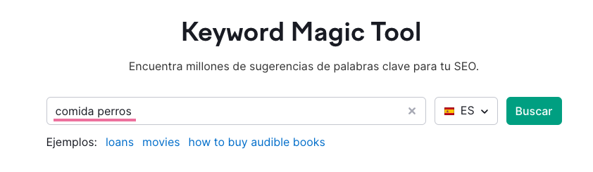 Página de inicio de Keyword Magic Tool