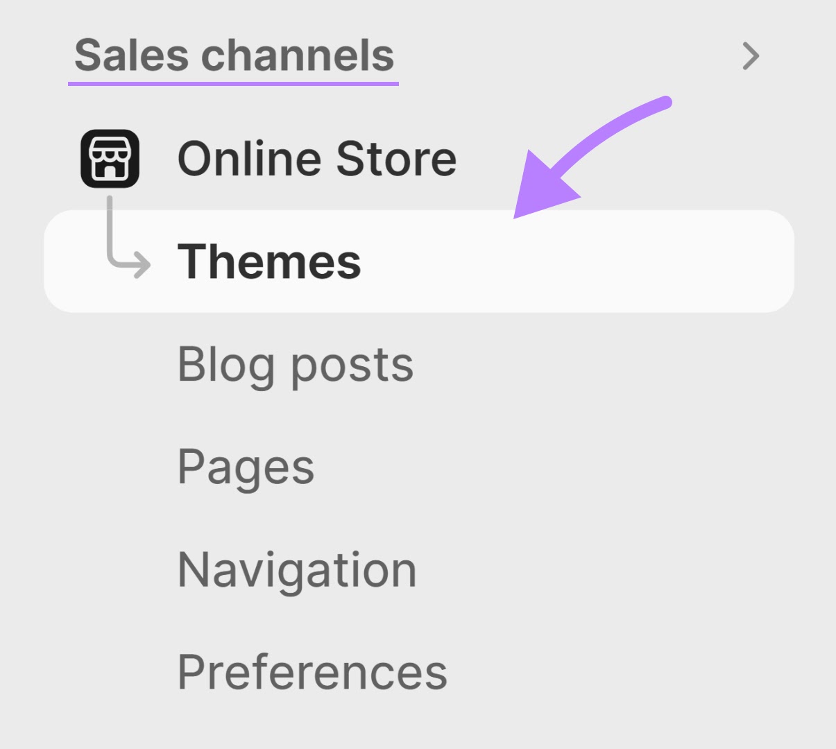 Navigating to "Online Store" > "Themes" successful  Shopify admin dashboard