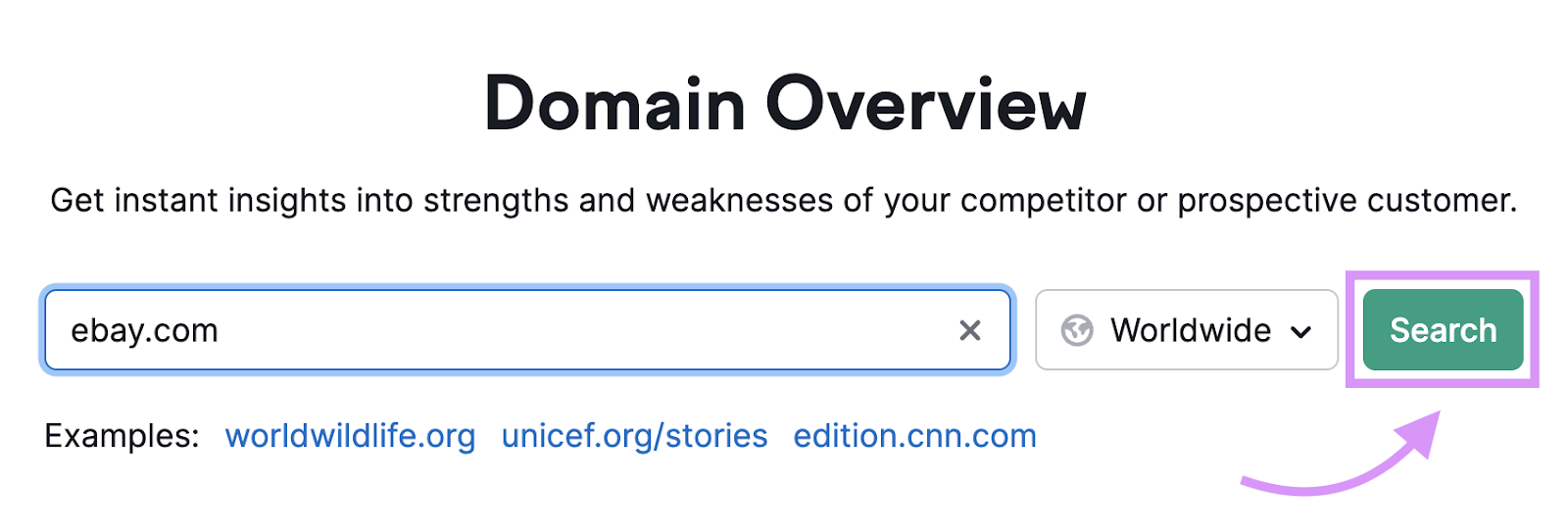 "ebay.com" entered into Domain Overview tool search bar