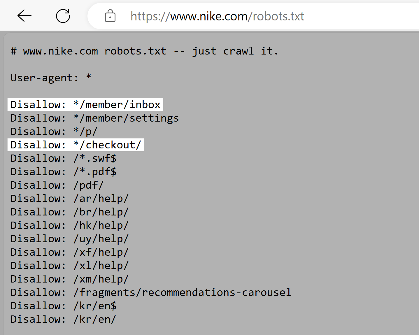 Nike robots.txt file with highlights showing disallowed URL paths