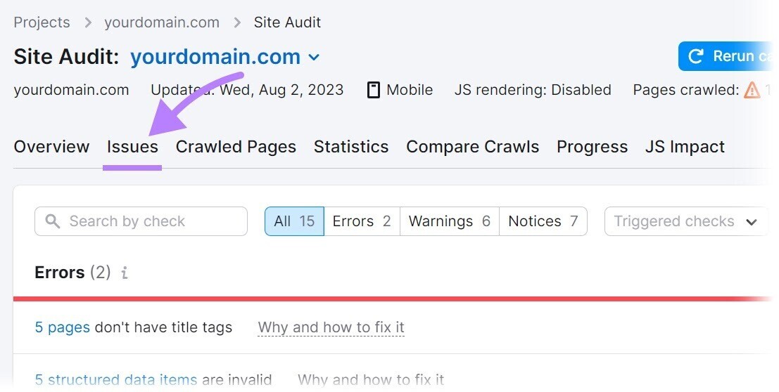“Issues” tab in Site Audit tool