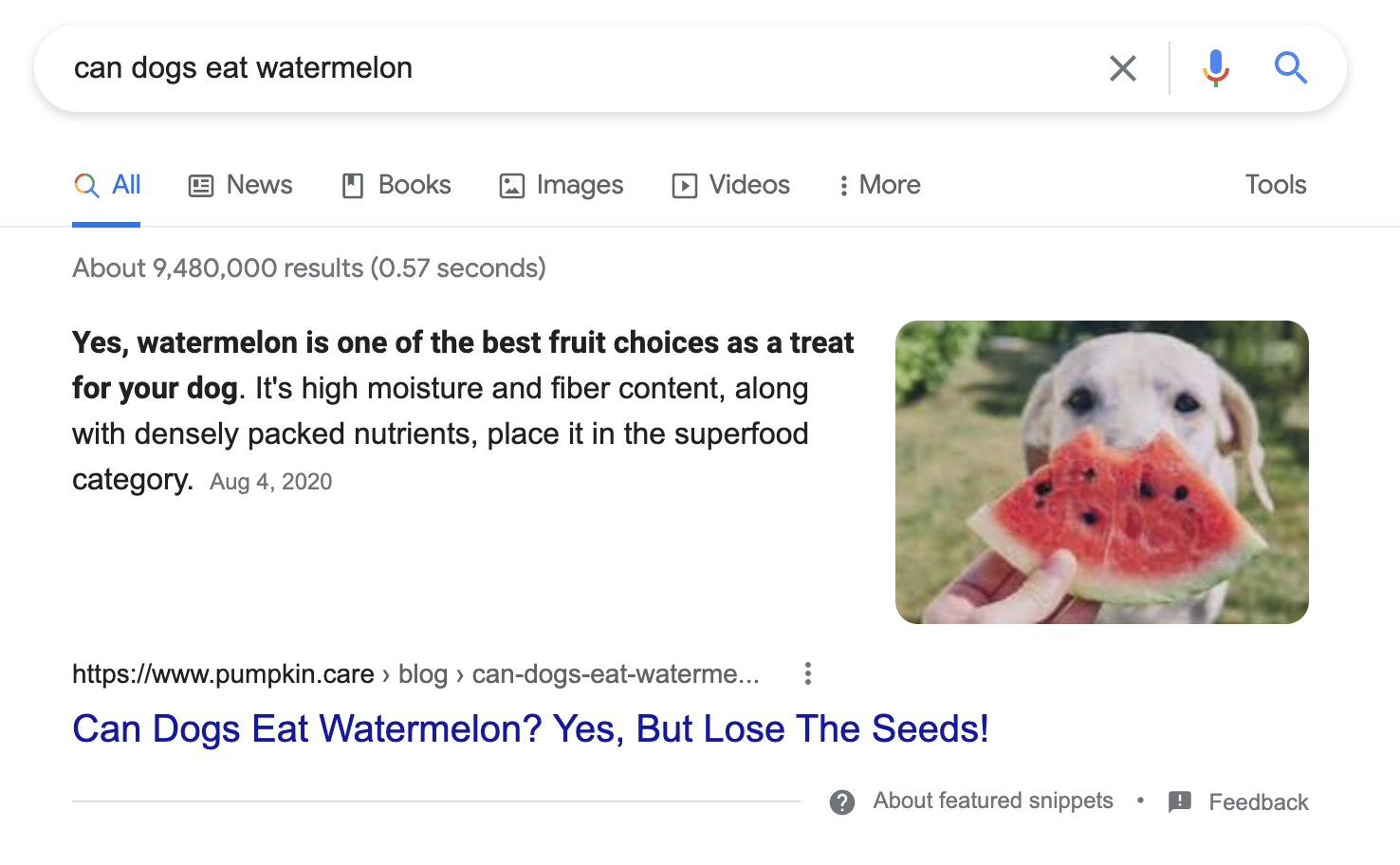 Can dogs eat watermelon featured snippet