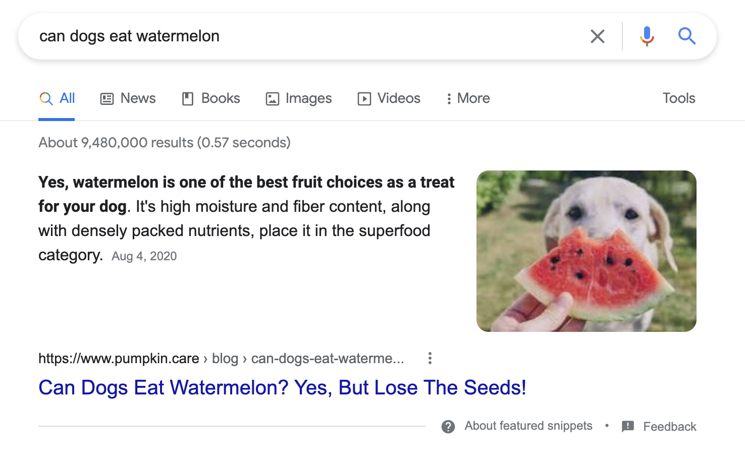 Can dogs devour   watermelon featured snippet