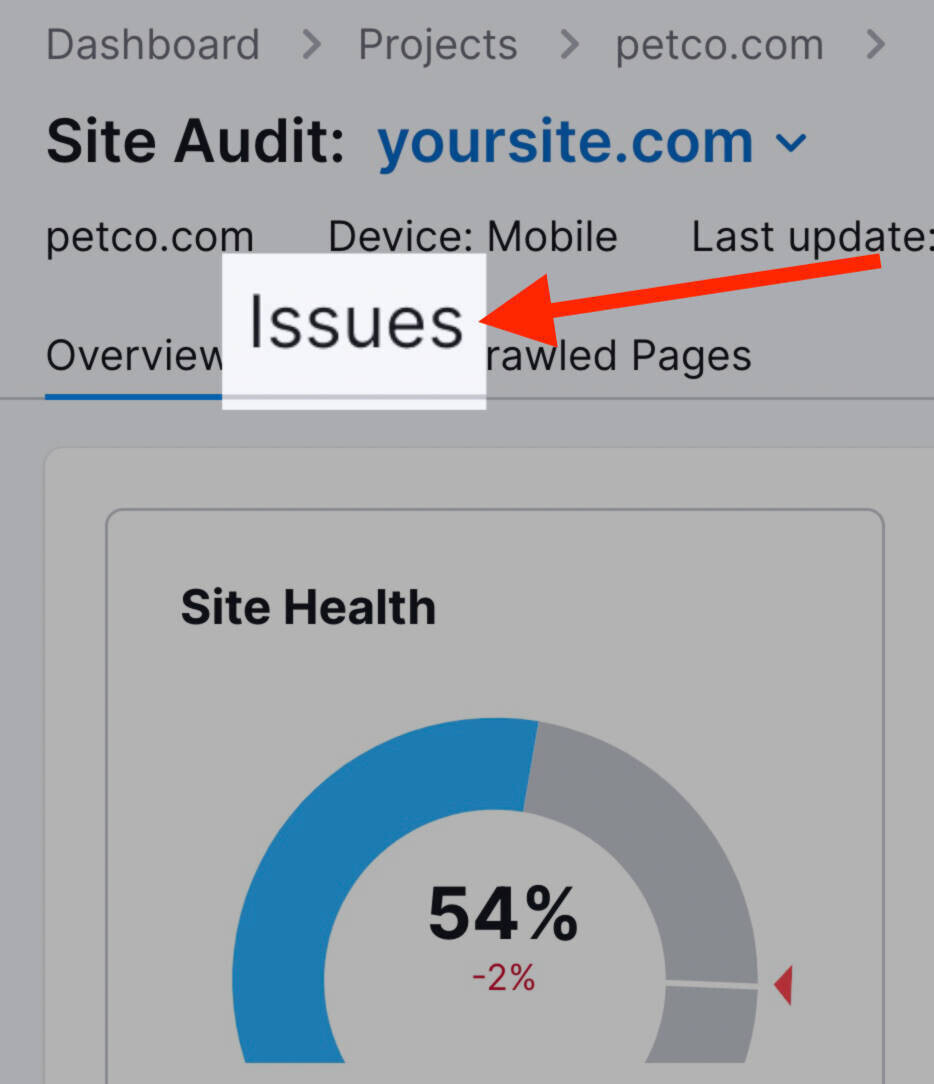 list of issues from the site audit