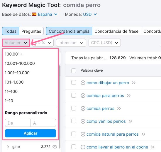 Aplicar filtros en Keyword Magic Tool