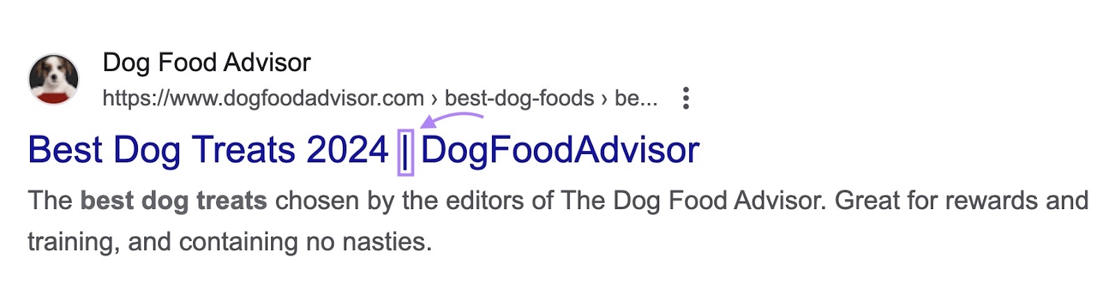 Title on SERP that reads: "Best  Treats 2024 | DogFoodAdvisor"