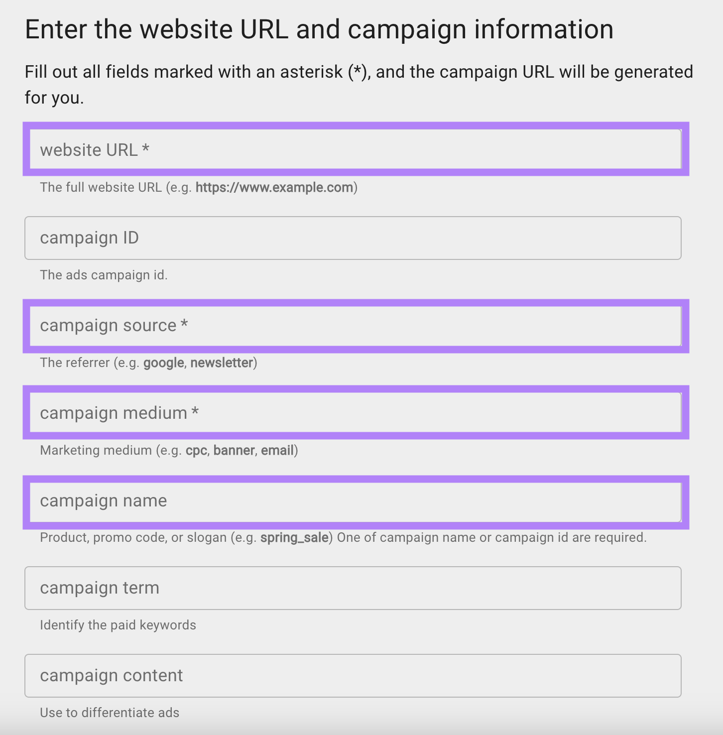 "Enter the website URL and campaign information" page