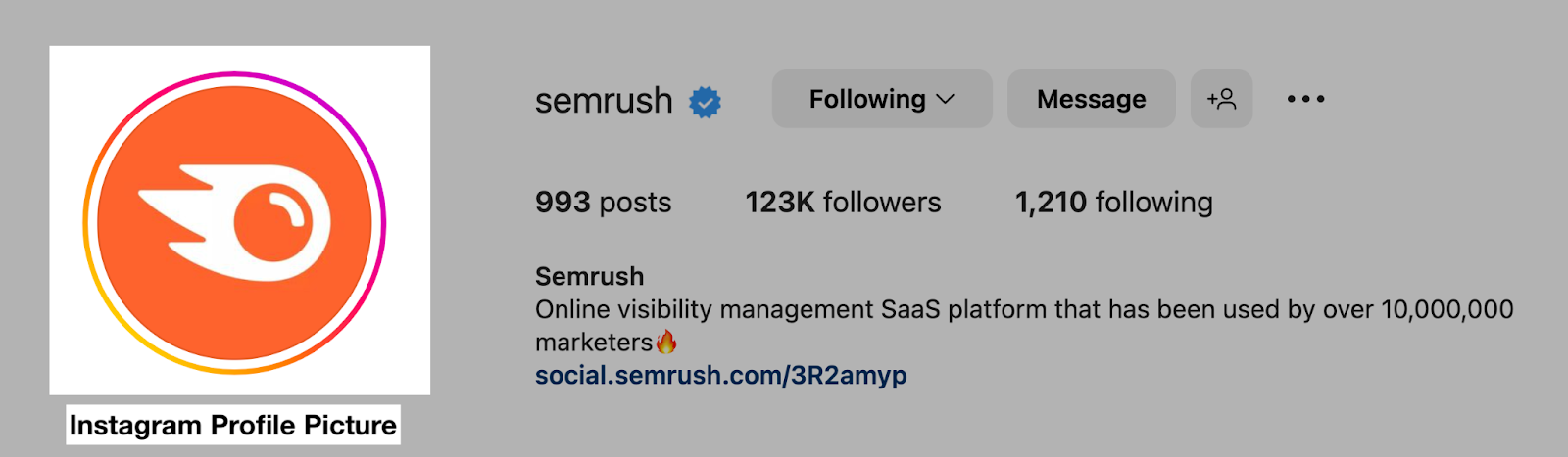 Semrush logo as instagram profile picture