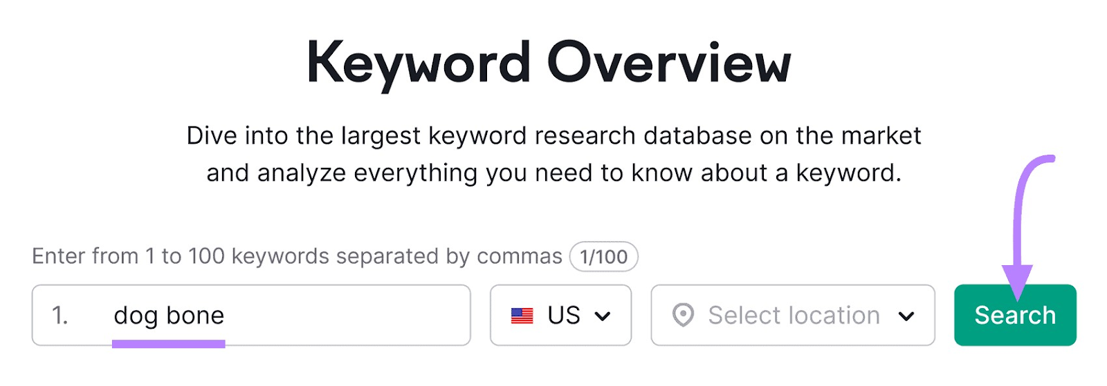 "dog ،" entered into the Keyword Overview search bar
