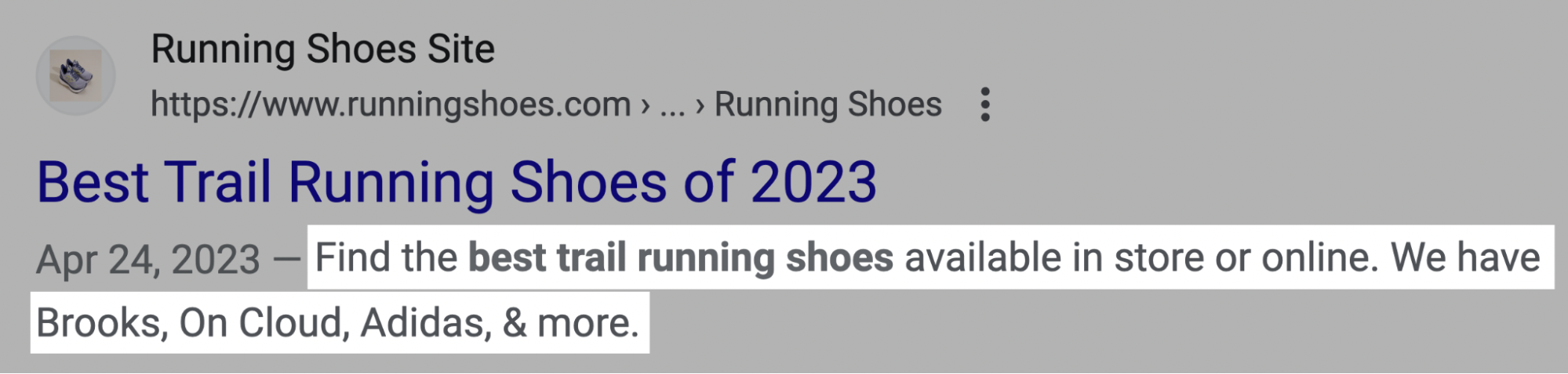 A meta description from Running Shoes Site's article on Google