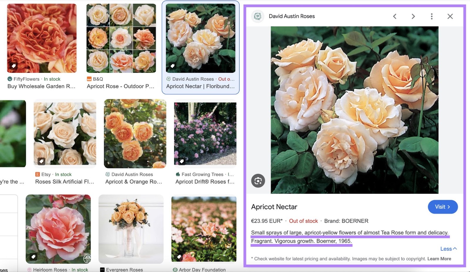 expanded google image result of a rose shows the meta description