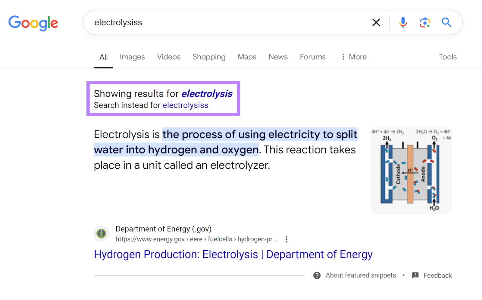 Google SERP for 'electrolysiss' with 'Showing results for electrolysis. Search instead for electrolysis' highlighted