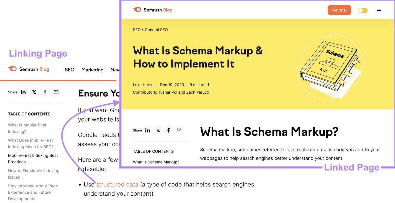 "structured data" anchor substance   links to blog connected  schema markup