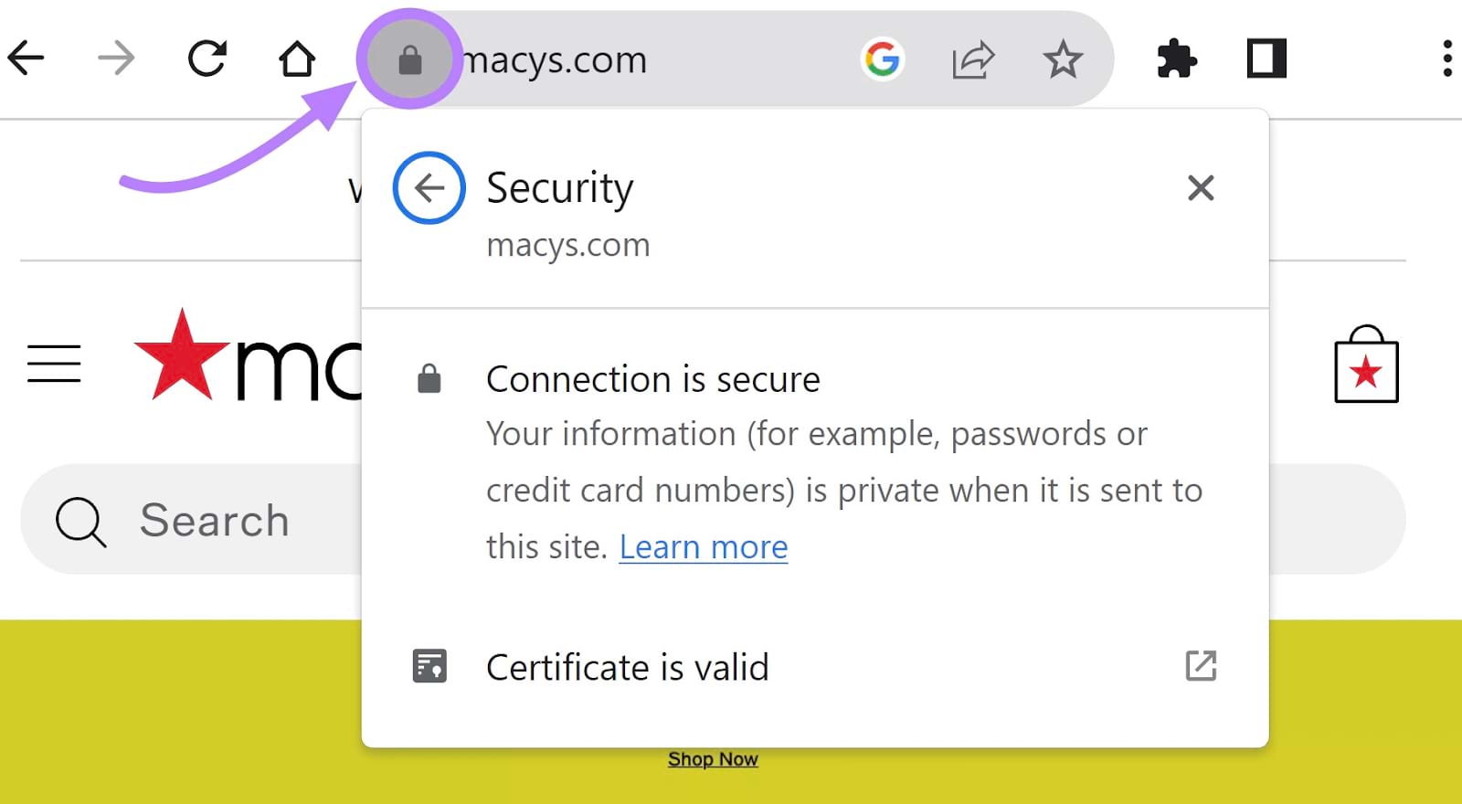 A padlock beside "macys,com" URL highlighted, signifying a secure connection