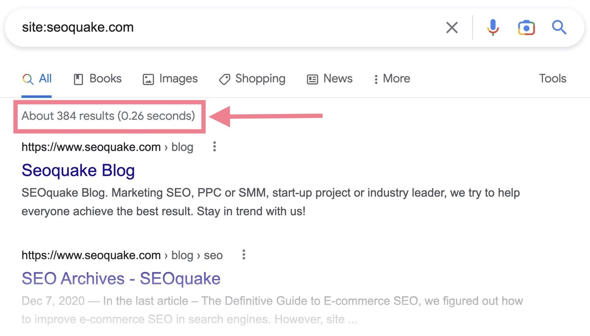 page indexing google