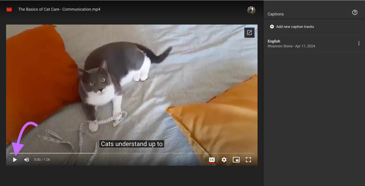 A screenshot of a Google Drive video with subtitles.