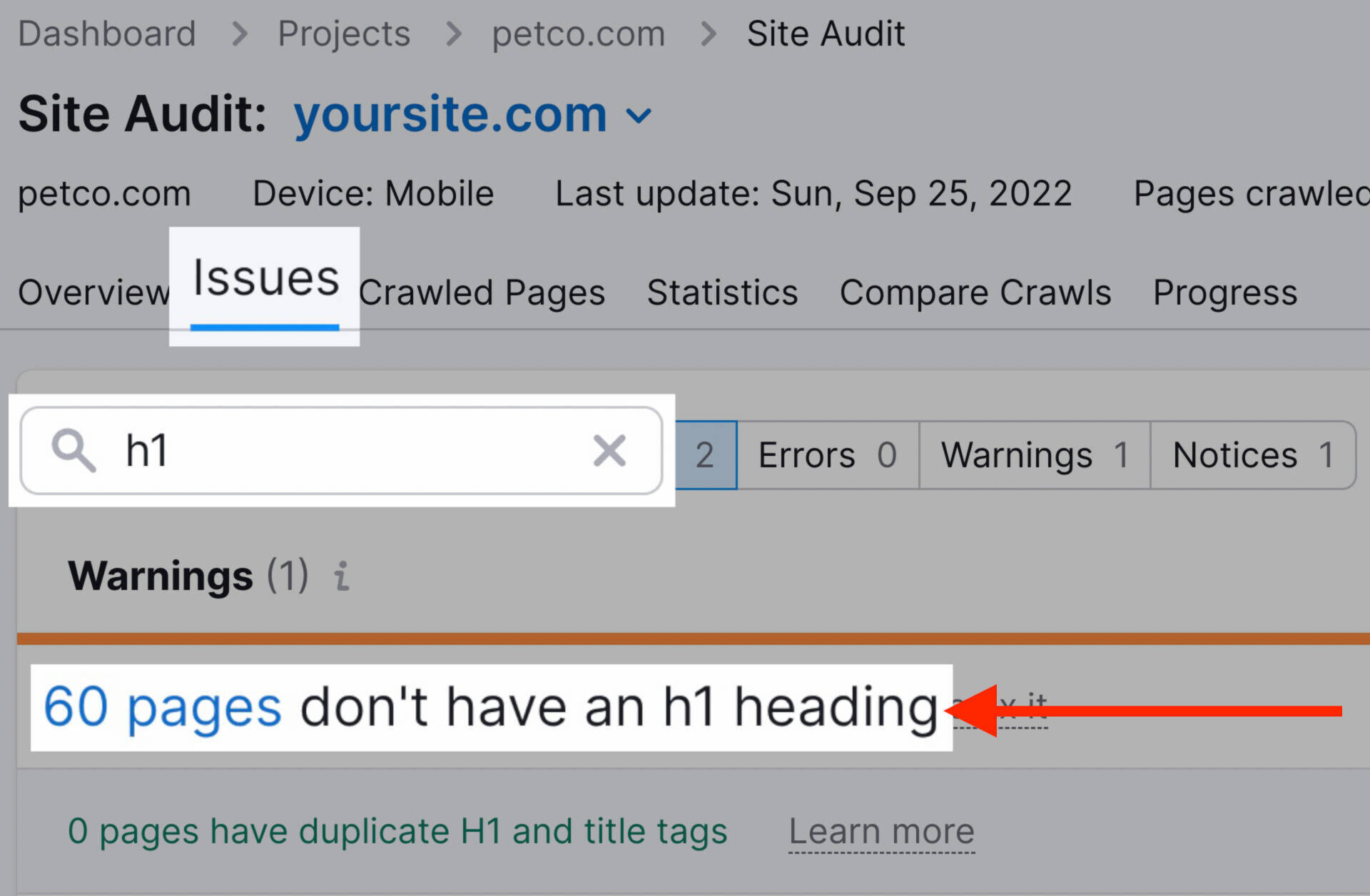 https://static.semrush.com/blog/uploads/media/99/3b/993bd081b56d6b0cc73f09fa9aec3ed3/find-pages-missing-H1.jpg