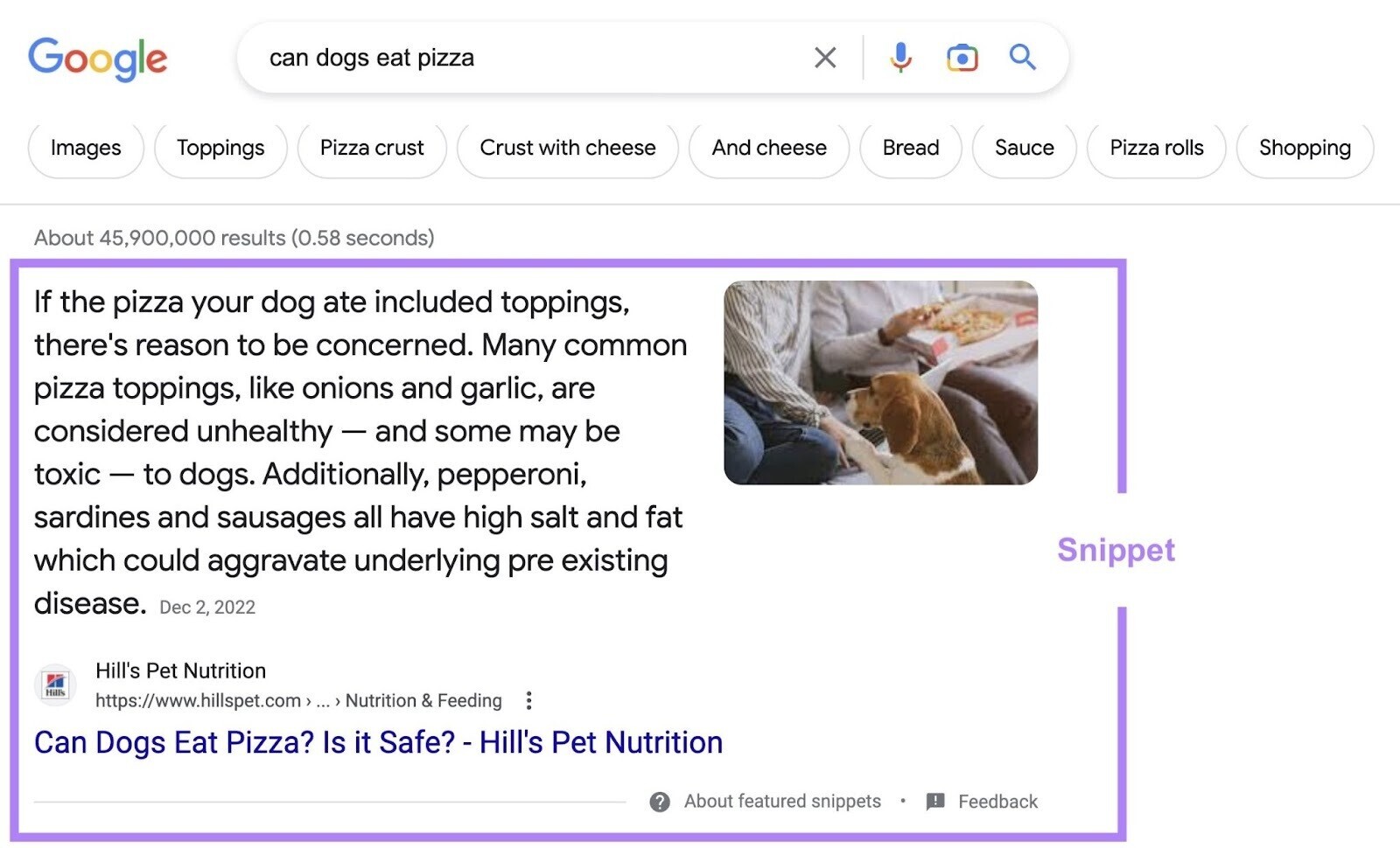 Google snippet from Hill’s Pet Nutrition nonfiction  connected  "Can Dogs Eat Pizza? Is it Safe?"