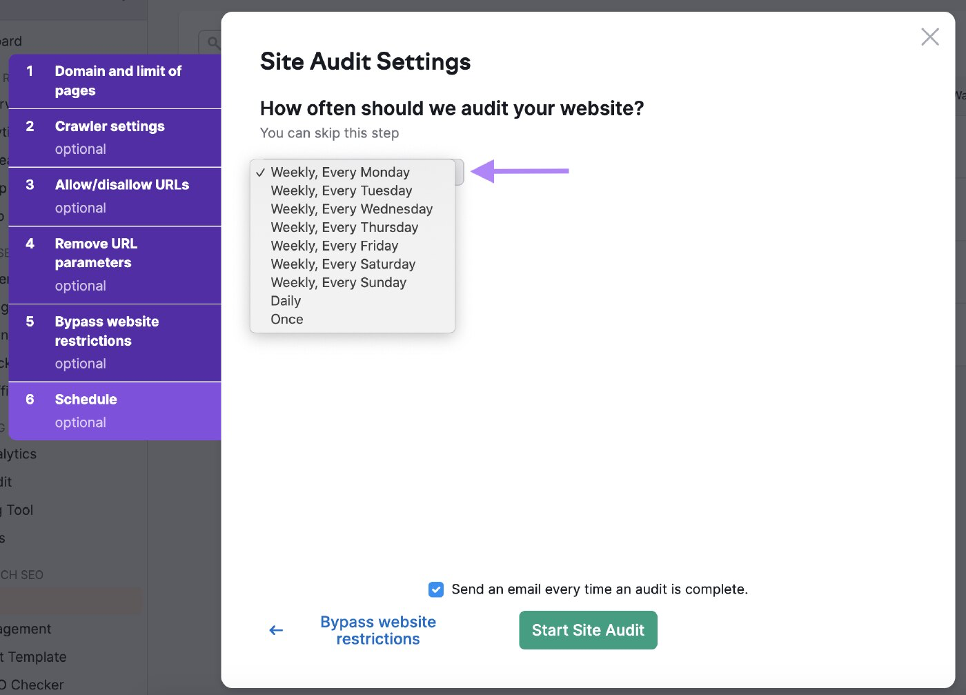 "How often should we audit your website?" settings page